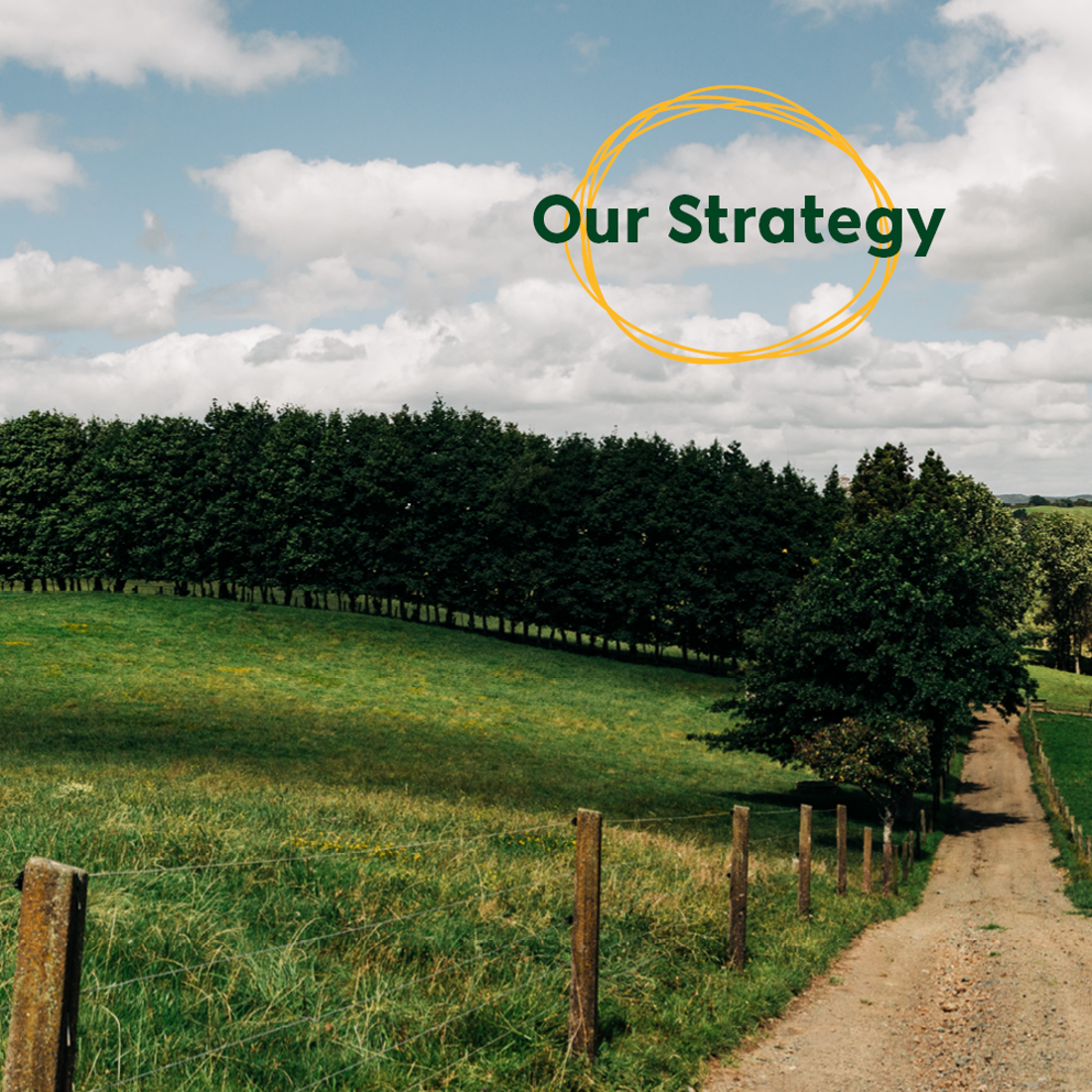 Strategy Whats New Promo Image 1000X1000px