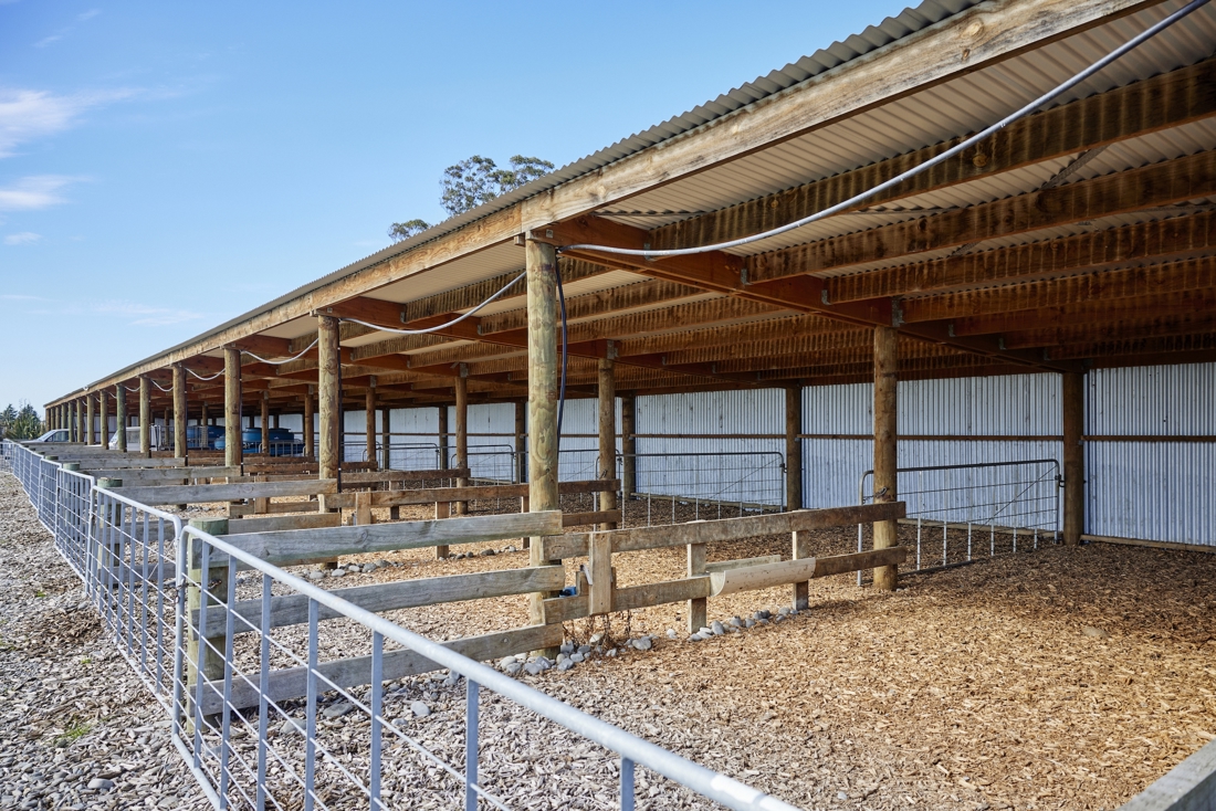 230417 Dairynz Warren Thomas 41873