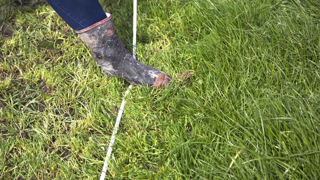 A dairy farmer checking grazing residuals in a paddock to avoid over or under-grazing.