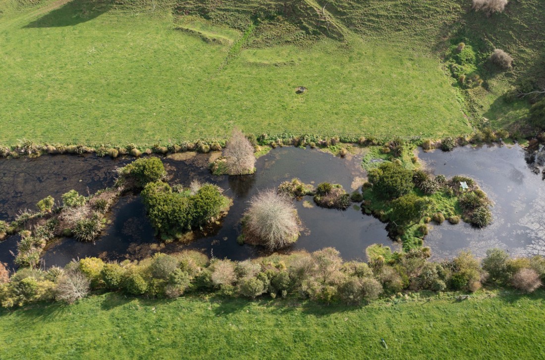 Rural Professionals Hub Fertiliser Advisors Improve Water Quality Image