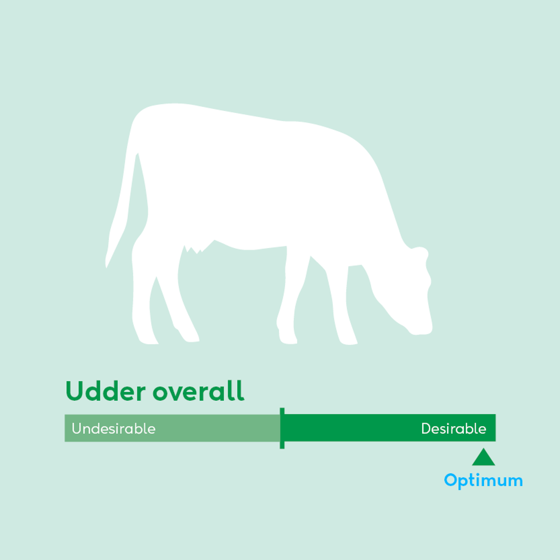 Image showing ideal udder traits for dairy cow breeding values beyond milk production