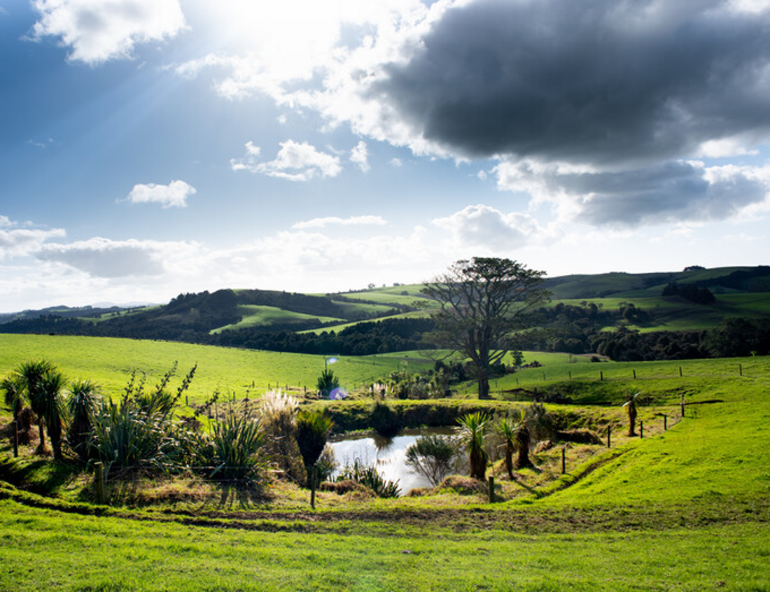 Resource Management Reform Promo Image